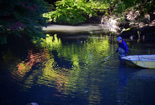 魔法の杖 | 岡山市　河西さん