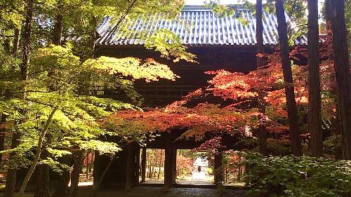岡山の紅葉 | 岡山市 やじさん