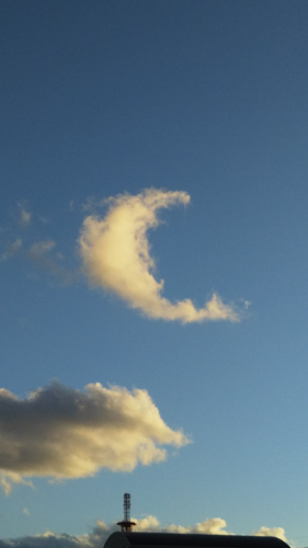三日月形の雲 | 高松市　デブ犬さん