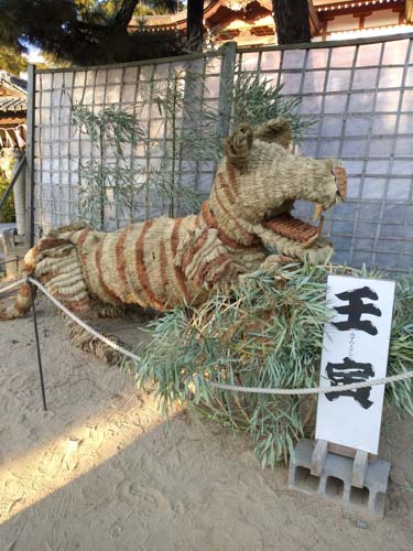 い草のトラ | 早島町 エミちゃんさん