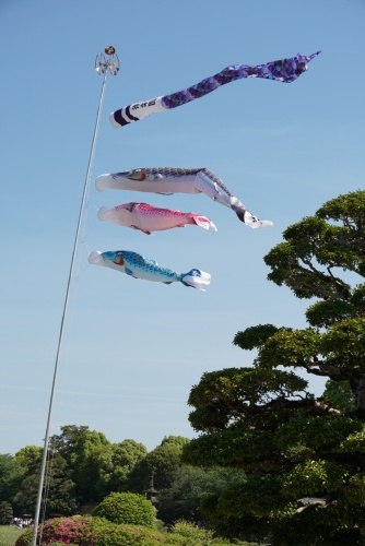 5月の空へ心地よく | 岡山市 横山さん