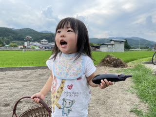 ナス収穫! | 真庭市 野村さん