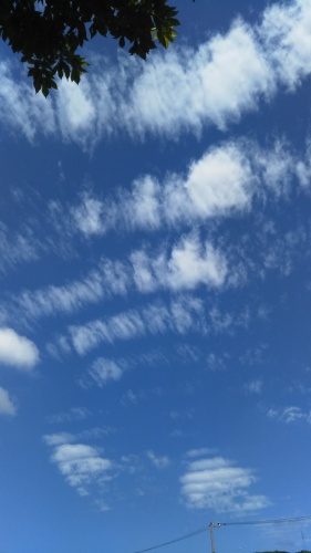 雲 | 高松市 まきのりさん