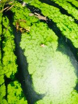 どこかな? | 高梁市 ヤマさん