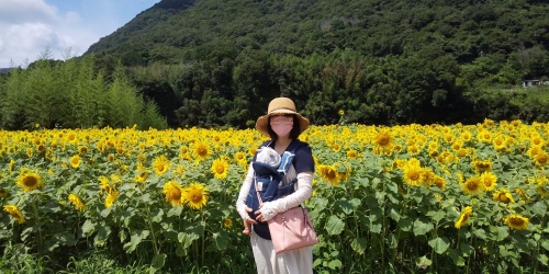 ひまわり | 岡山市 那須さん