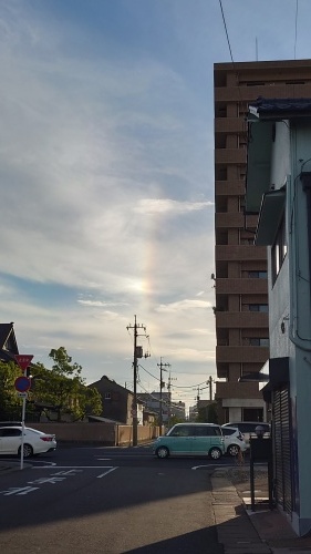 幻日 | 岡山市　ホルスタインともこさん