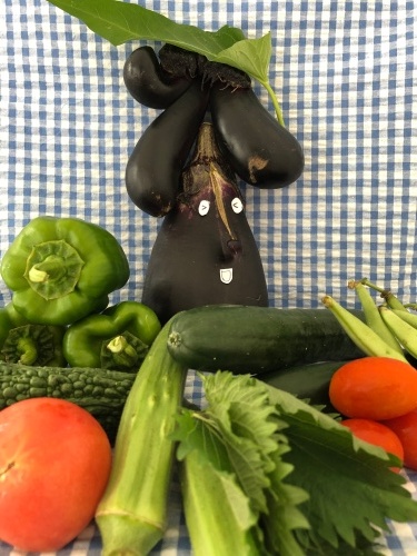 夏野菜 | 岡山市 マイメロさん