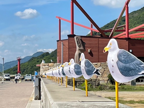 カモメの行列 | 高松市 古川さん