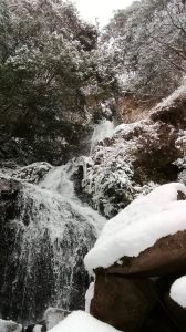 冬の鈴木の滝