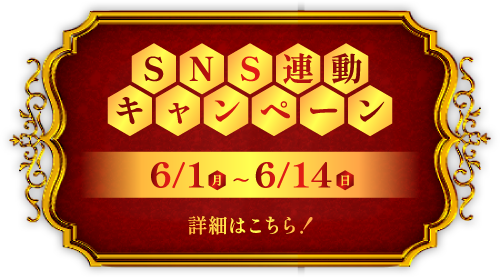 SNS連動キャンペーン 詳細はこちら！