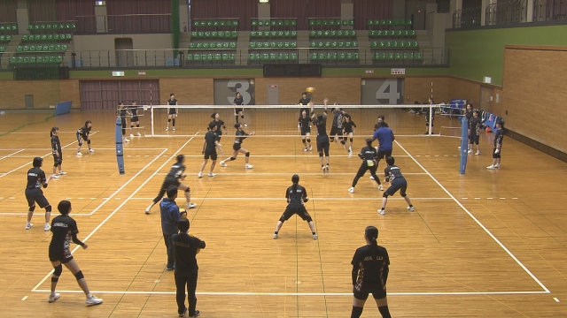 2025-2026大同生命SV.LEAGUE WOMEN<br/>
岡山シーガルズ VS デンソーエアリービーズ