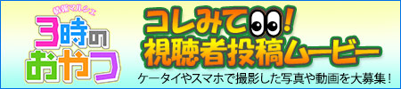 コレみて！視聴者投稿ムービー