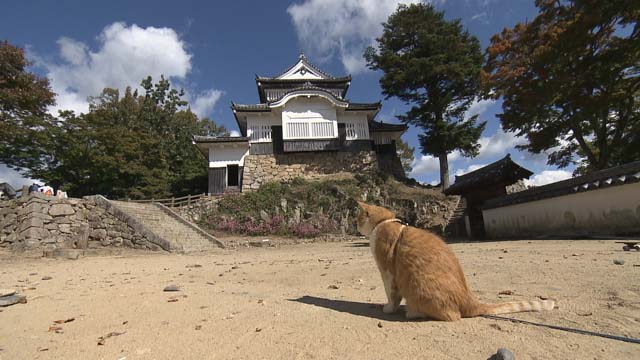 備中松山城