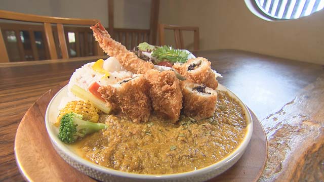 瀬戸内SPICE CURRY EBISU