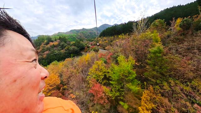 フォレストアドベンチャー・高知