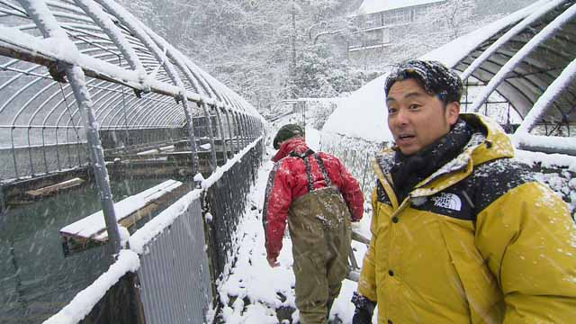 郷緑温泉　郷緑館