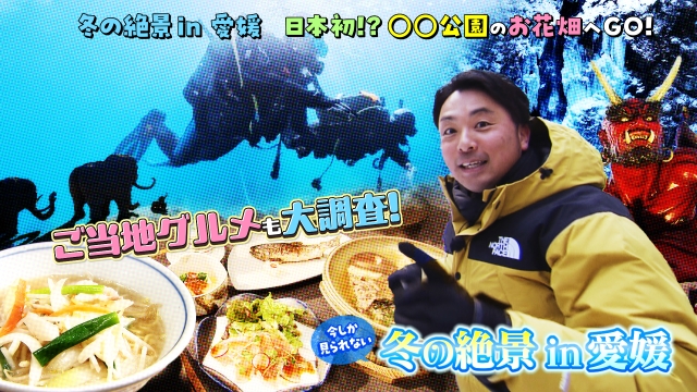 今しか見られない冬の絶景in愛媛 日本初!?○○公園のお花畑へGO！