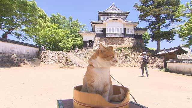備中松山城