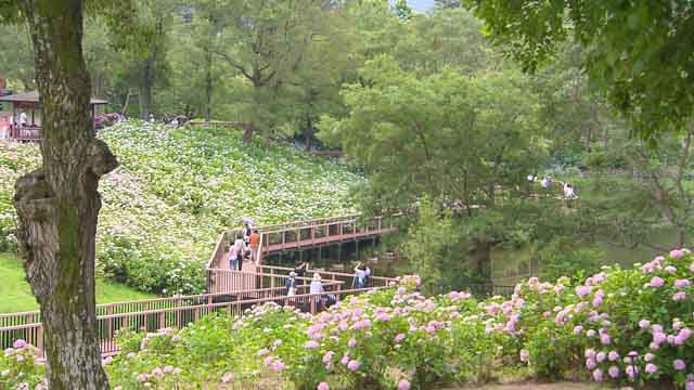 国営讃岐まんのう公園