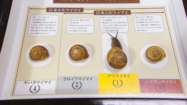 NPO法人　みんなでつくる自然史博物館・香川