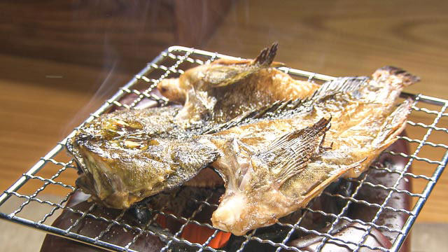 酒菜屋志らい