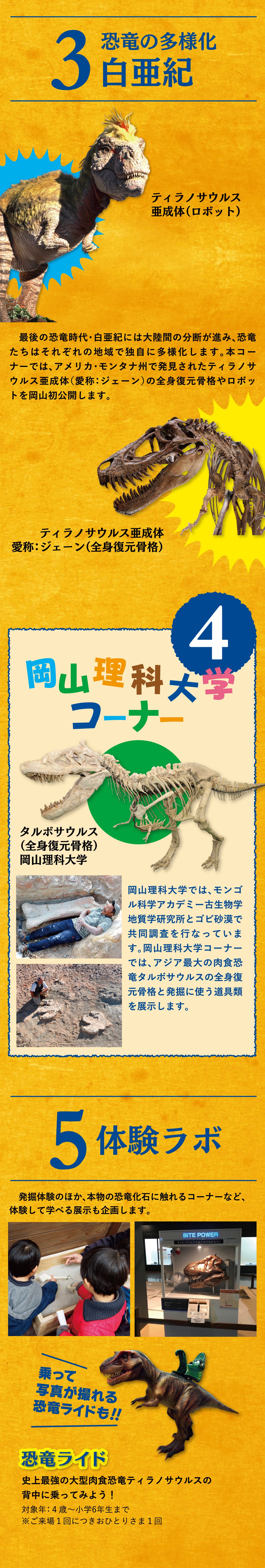 3.恐竜の多様化 白亜紀｜4.岡山理科大学コーナー｜5.体験ラボ